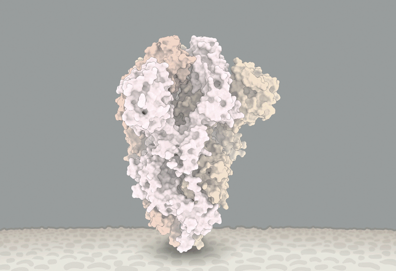 ‘Rapid rise’ in virus that isn’t Covid