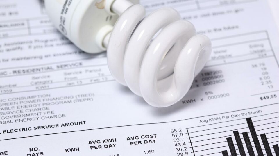 Albo tipped to cap power prices