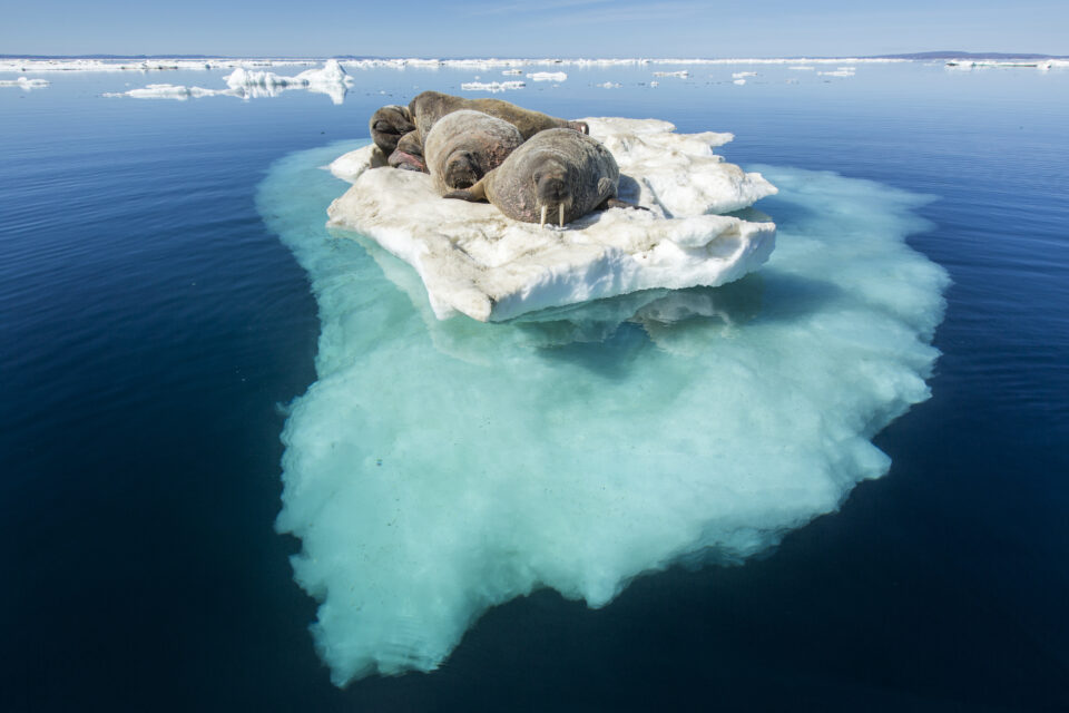 ‘Grim warning’ in new climate report