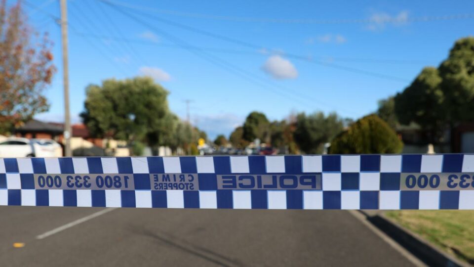 Girl fighting for life after being hit by a car