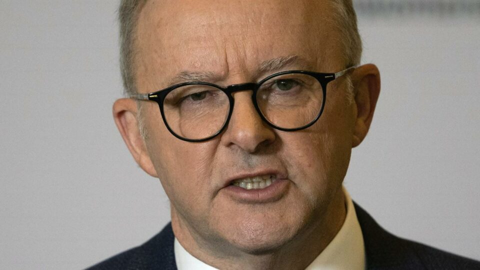 Albo’s Wagon Wheel pitch to business