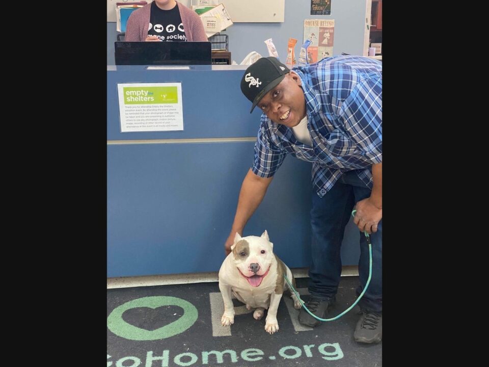 Stolen puppy returned home safe