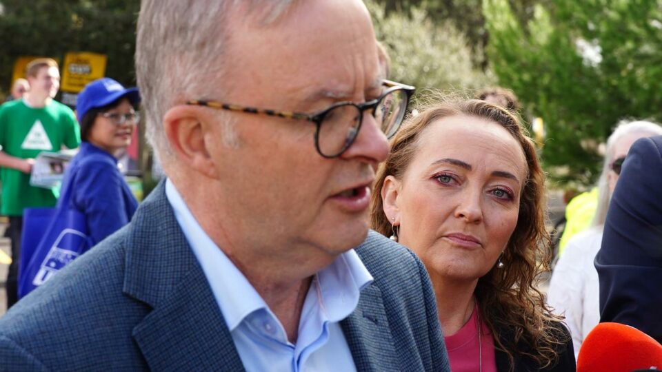 Albo rips into Dutton after massive loss