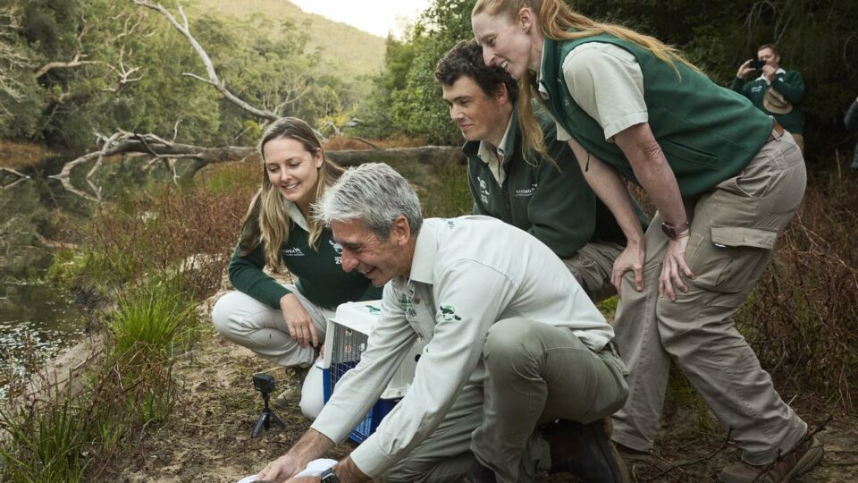 ‘Extinct’ animal returns to state park