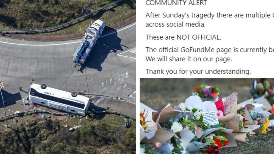 ‘Disgraceful’: Dog act after bus deaths