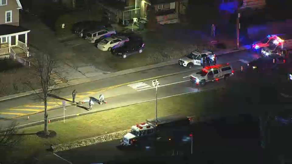 Pedestrian dead after being hit by car