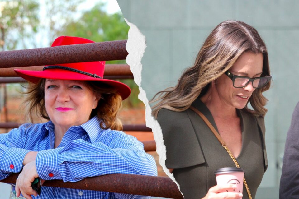 Gina’s ‘special project’ to cut out kids: court
