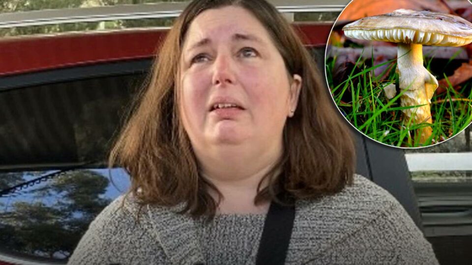 ‘Unhelpful’: Top cop on mushroom chef bombshell