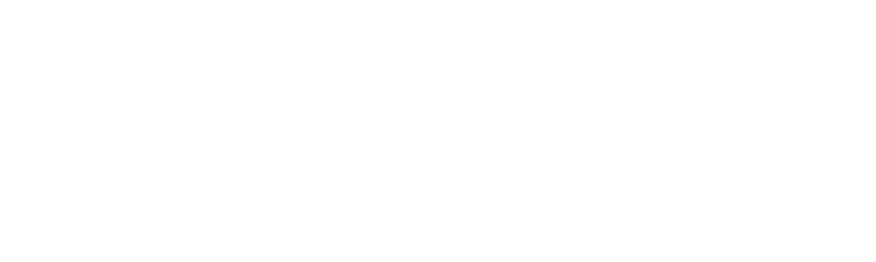 Cops praised for arrest of 97yo protester
