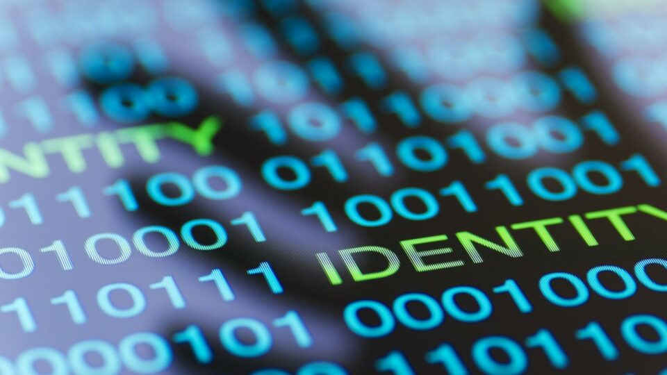 Eye-watering reality of online scams