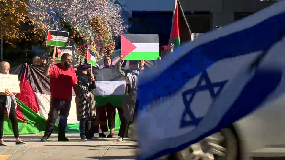 Israel supporter arrested at Palestine rally