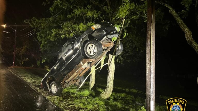 Mystery surrounds fatal car crash into a tree