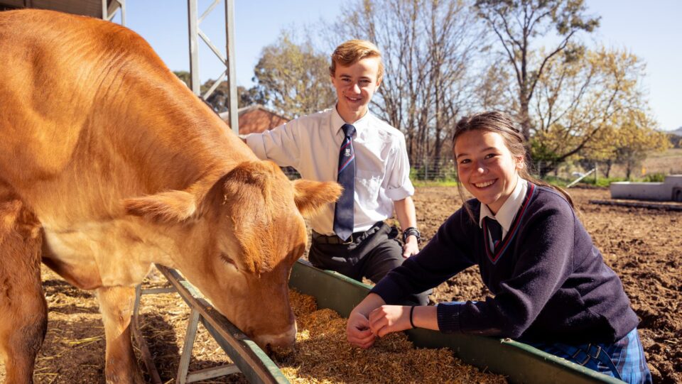 Hardworking Australian farmers win  million in lottery