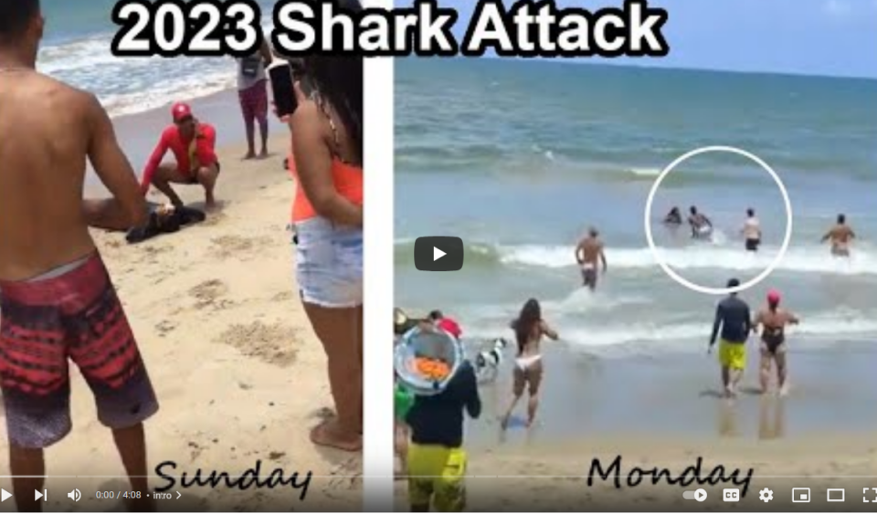 Hunt after teen grabbed at beach