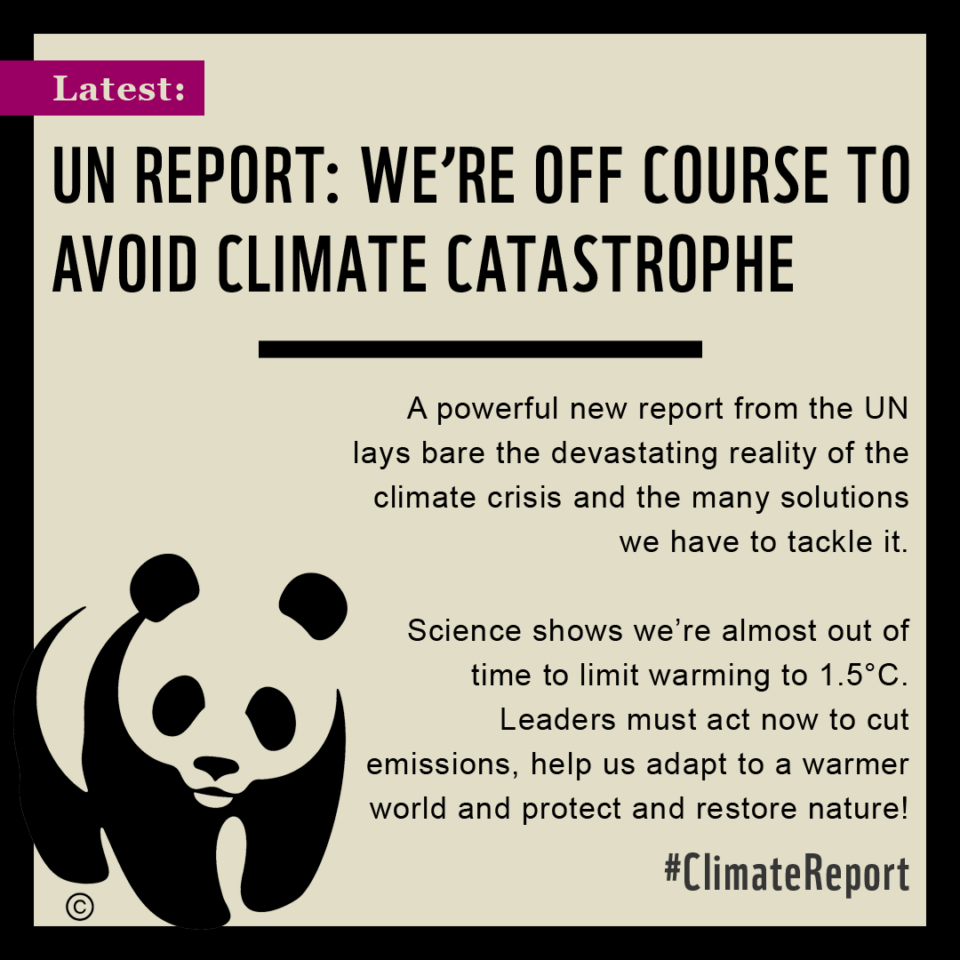 Report reveals how to avoid climate disaster