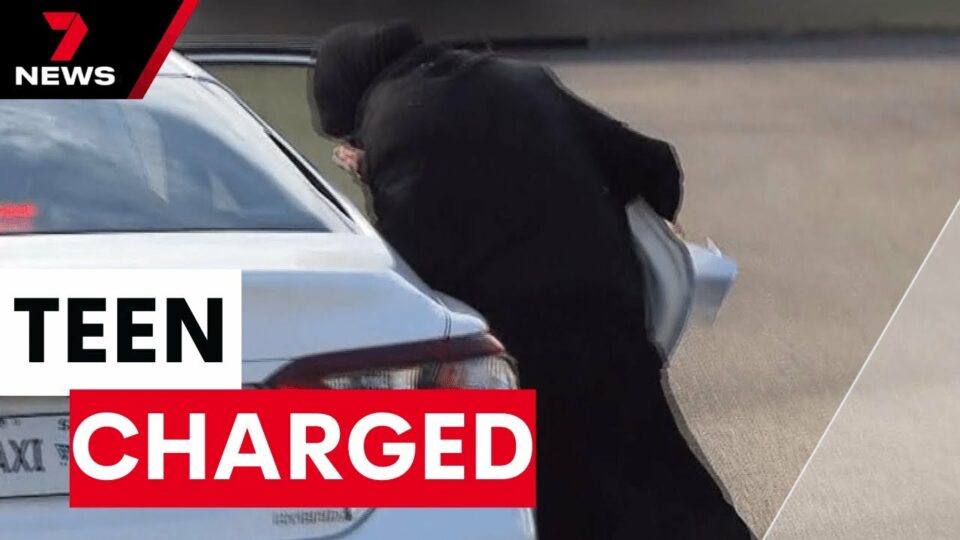 Teen girl arrested on terror charges