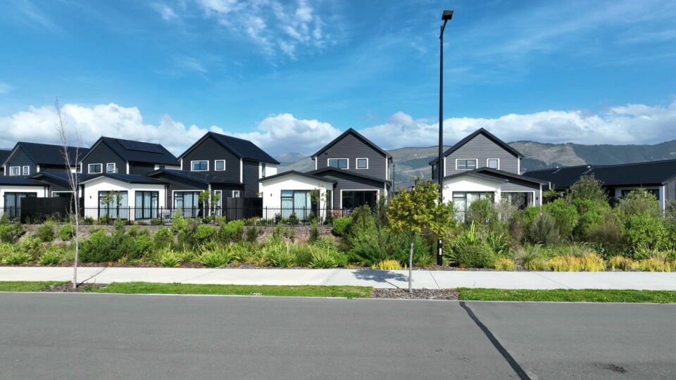 ‘We are governed by mongrels’: Driver of housing crisis revealed
