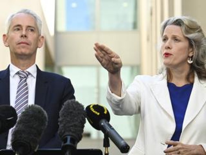 Big call in detainee saga