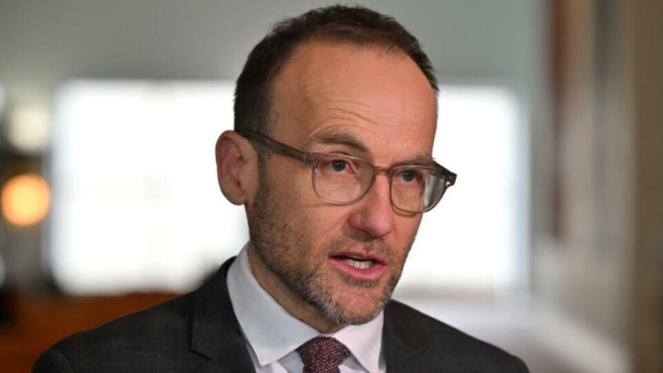 ‘Economic sabotage:’ Greens’ tax bid lashed