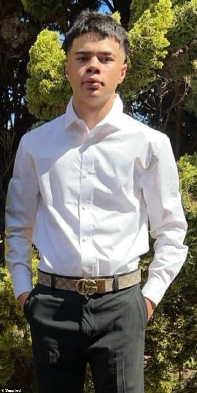 A 17-year-old Levi-Jackson Furnivall told his mother he was checking on a friend moments before losing his life in tragic accident