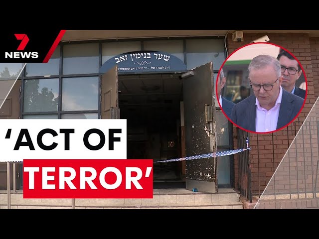 Albanese’s multimillion-dollar commitment to battle anti-Semitism