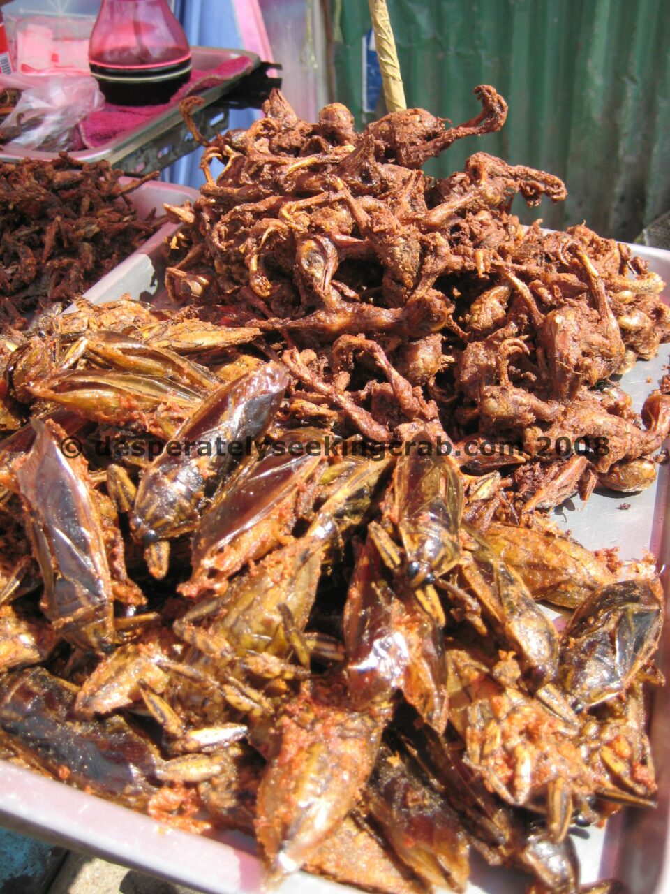 Some fries with your roaches anyone?