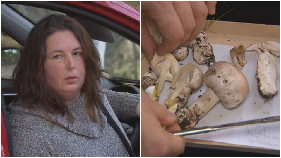 Accused mushroom killer seen for first time