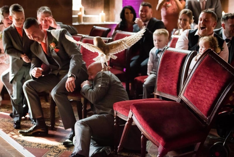 Man comes off second best after bird attack