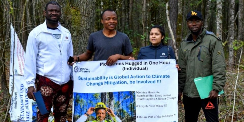 Tree-hugging council erect bold banner
