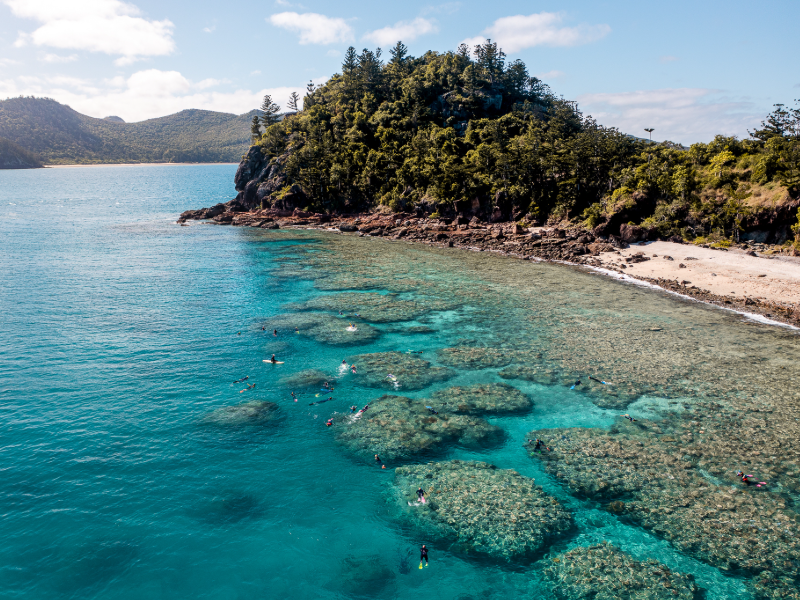 Jetstar launches insane sale