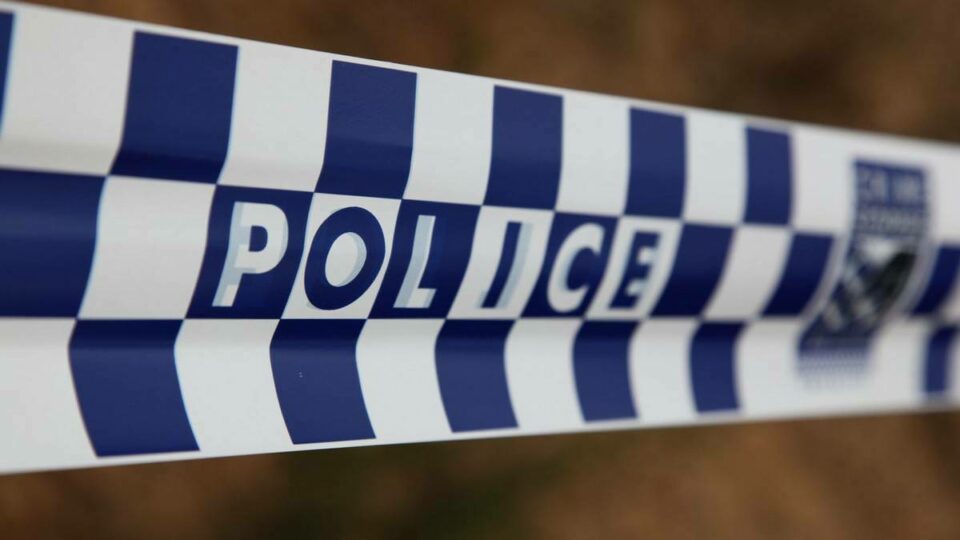 Woman dies after alleged DV assault