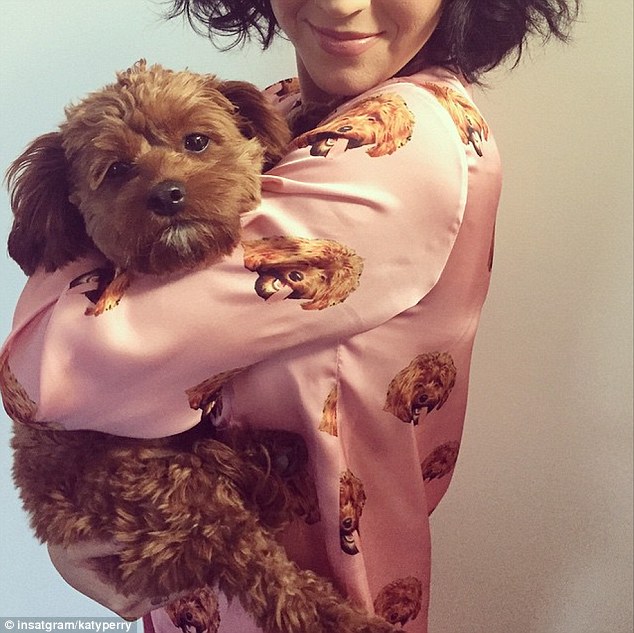 Katy Perry snapped with cutest Aussie